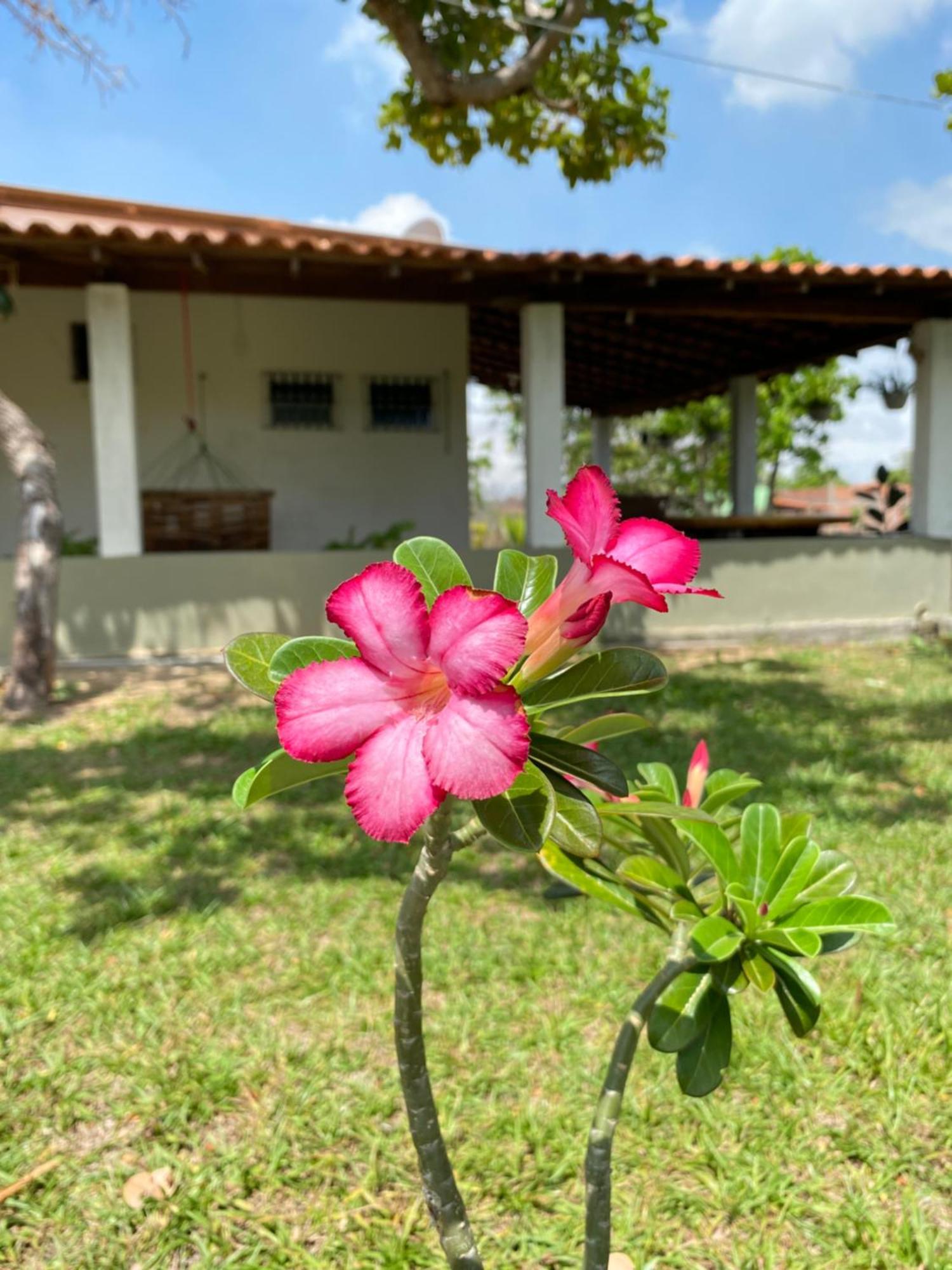 Chale A 4Km Do Centro Com Wi-Fi Villa Barreirinhas Dış mekan fotoğraf